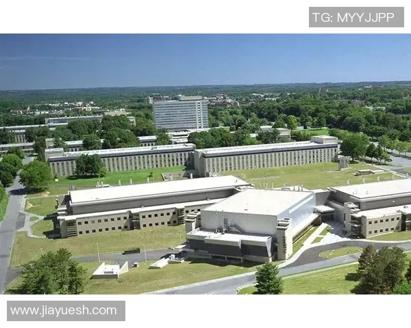 深入解析美国美式足球规则及其对比赛的影响与战略应用